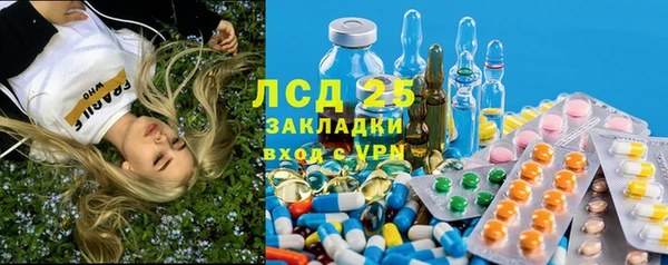 МДПВ Каменка