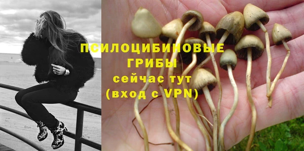 каннабис Карпинск